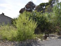 Sprzedaż - Dom - Guardamar del Segura - Urb. El Raso