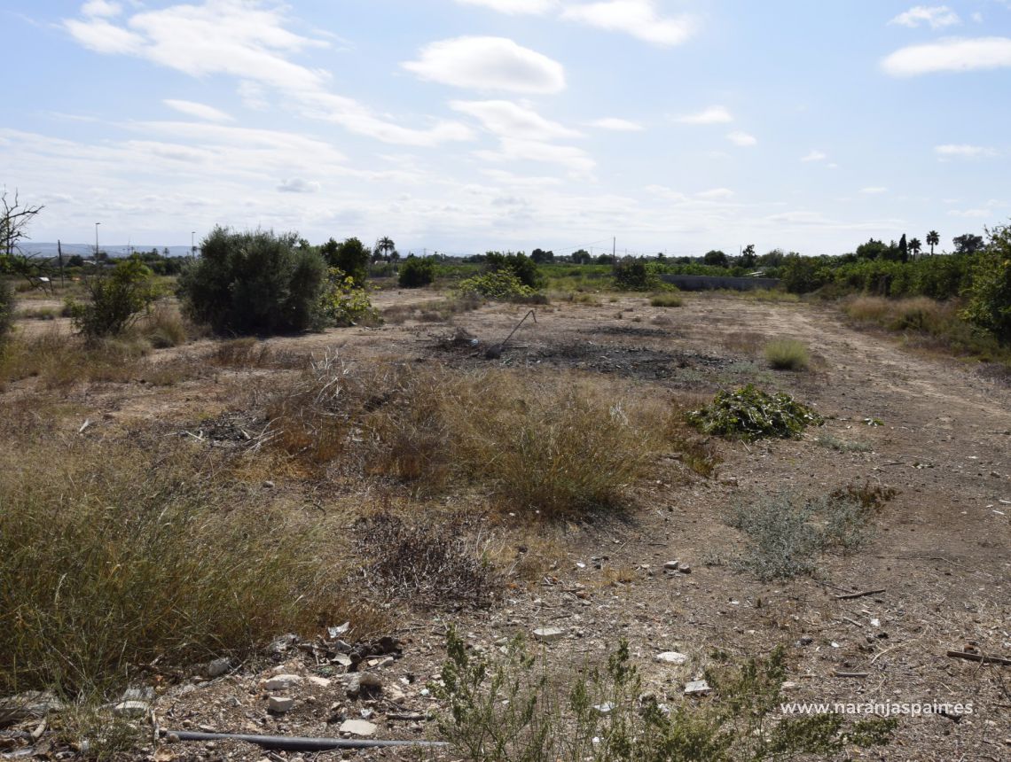 Sprzedaż - Dom - Guardamar del Segura - Urb. El Raso