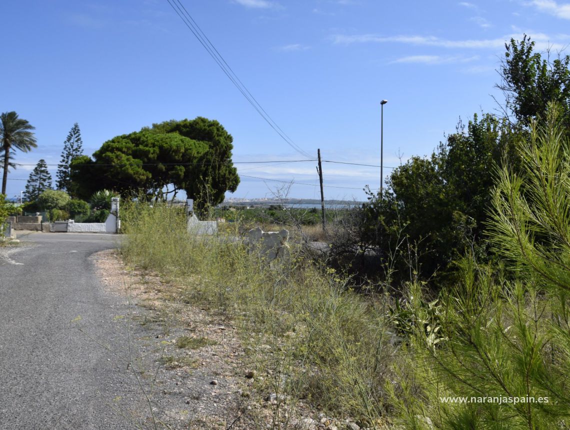 Sprzedaż - Dom - Guardamar del Segura - Urb. El Raso