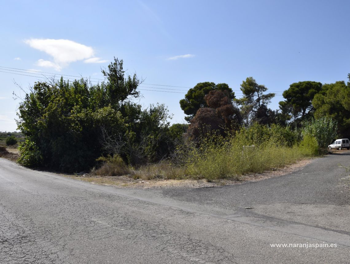 Sprzedaż - Dom - Guardamar del Segura - Urb. El Raso