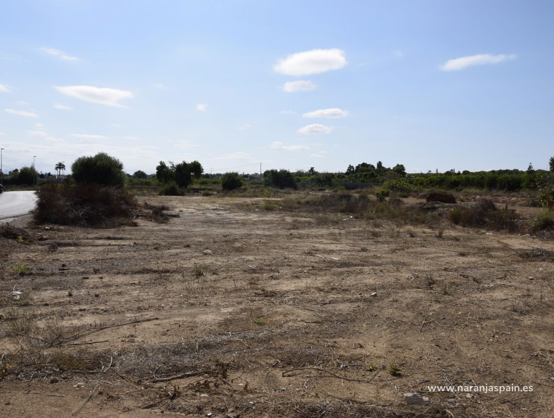 Sprzedaż - Dom - Guardamar del Segura - Urb. El Raso