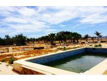 Sprzedaż - Dom - Guardamar del Segura - Urb. El Raso