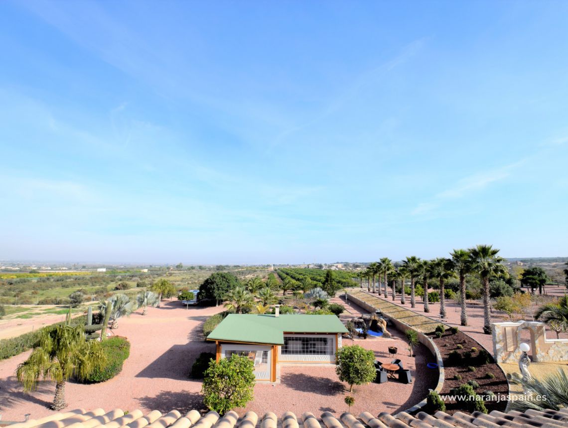 Sprzedaż - Dom - La Marina - La Marina Urb