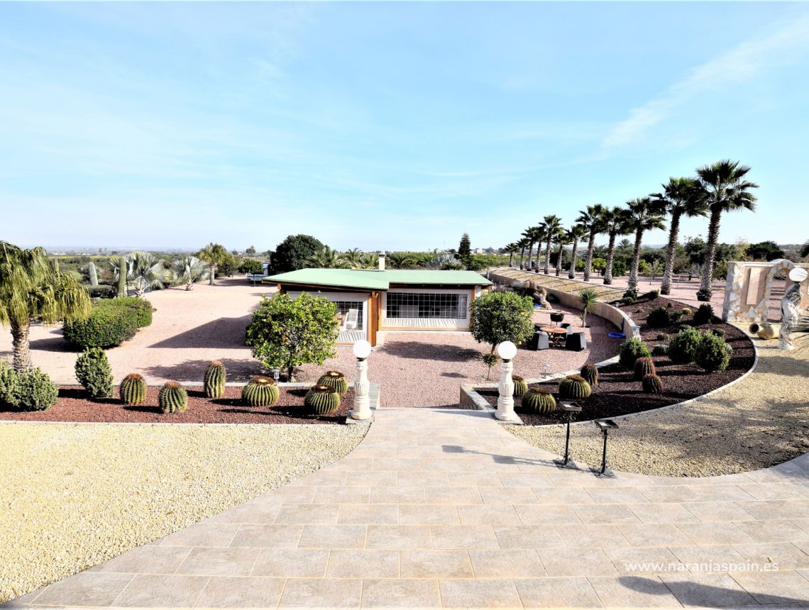 Sprzedaż - Dom - La Marina - La Marina Urb