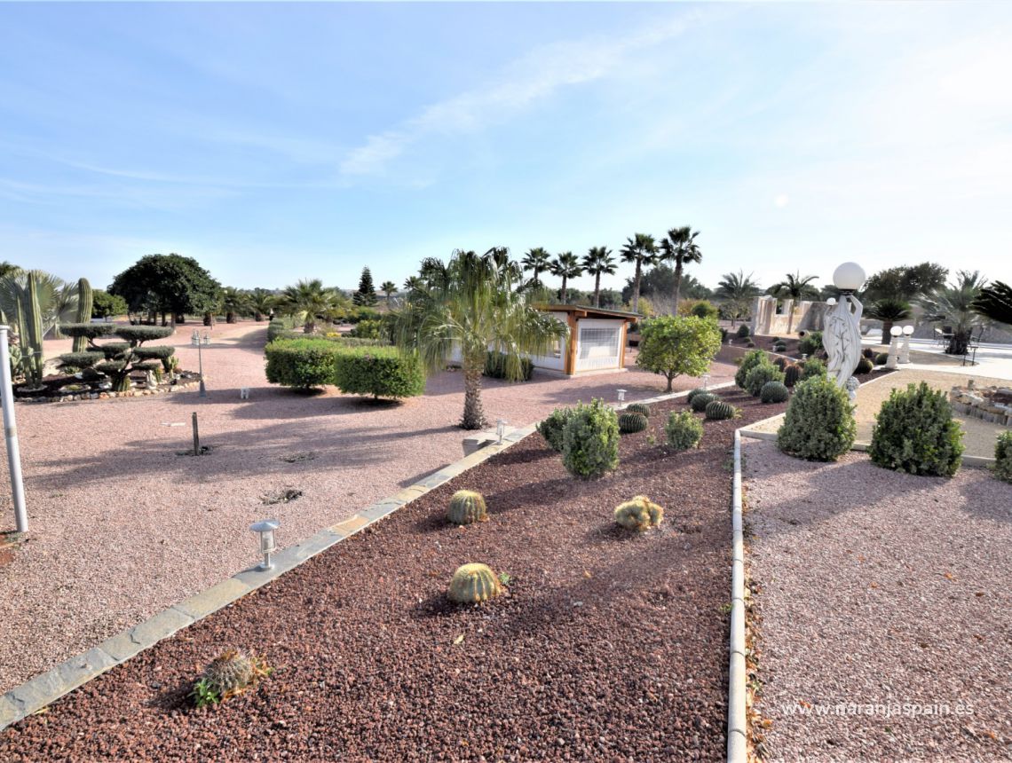 Sprzedaż - Dom - La Marina - La Marina Urb