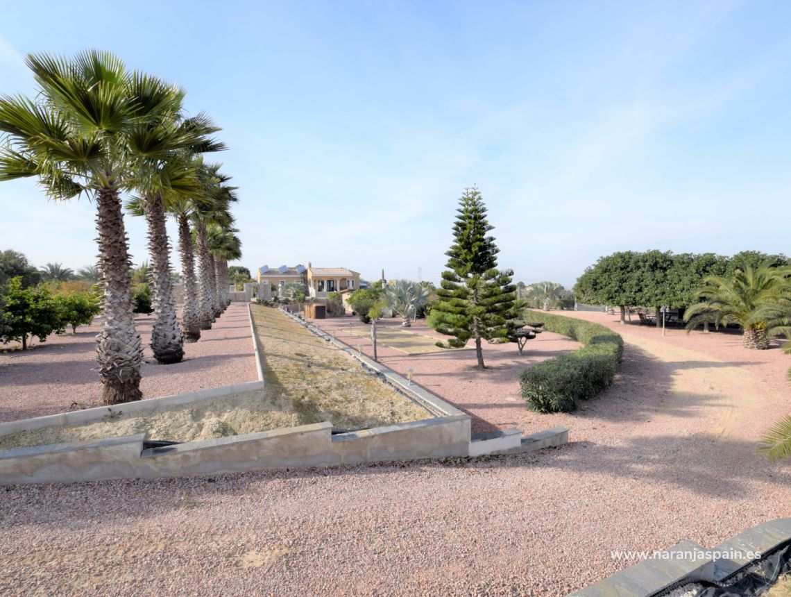 Sprzedaż - Dom - La Marina - La Marina Urb