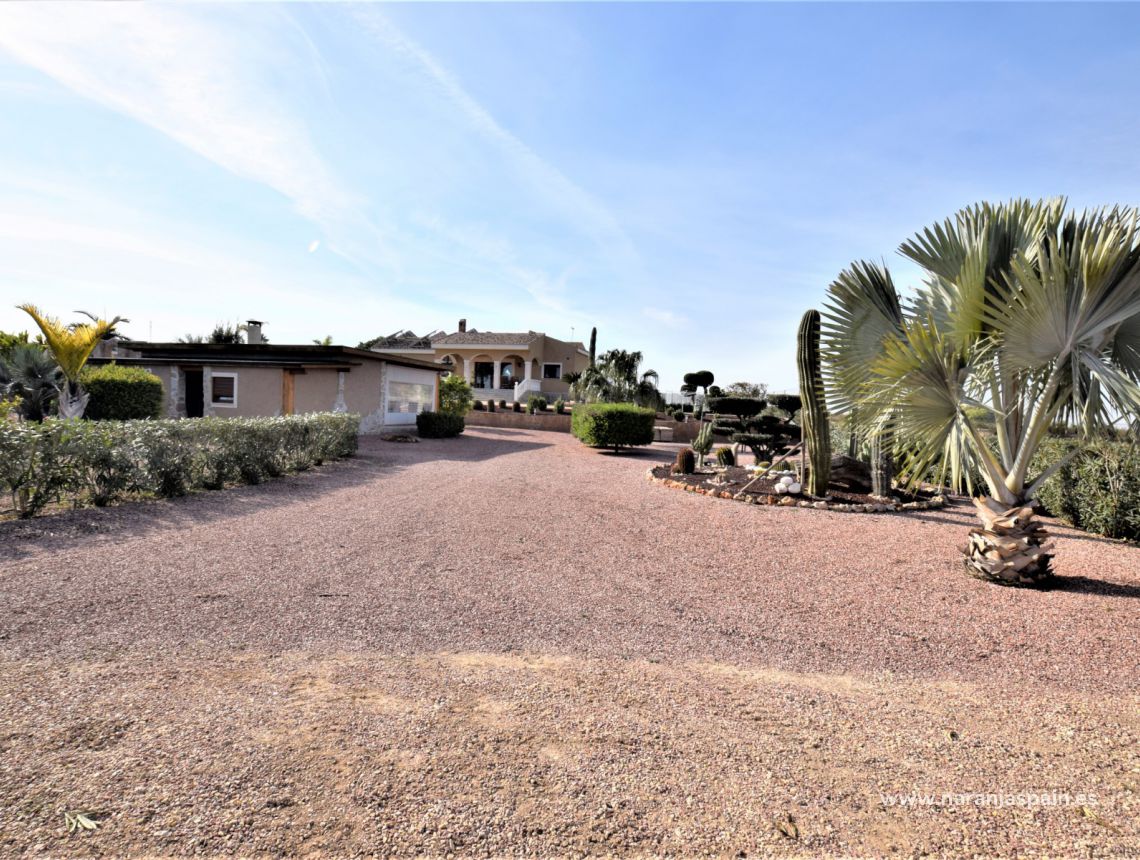 Sprzedaż - Dom - La Marina - La Marina Urb