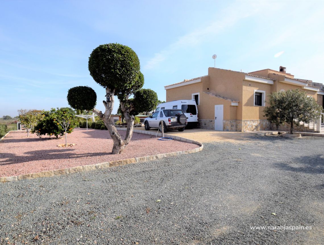 Sprzedaż - Dom - La Marina - La Marina Urb