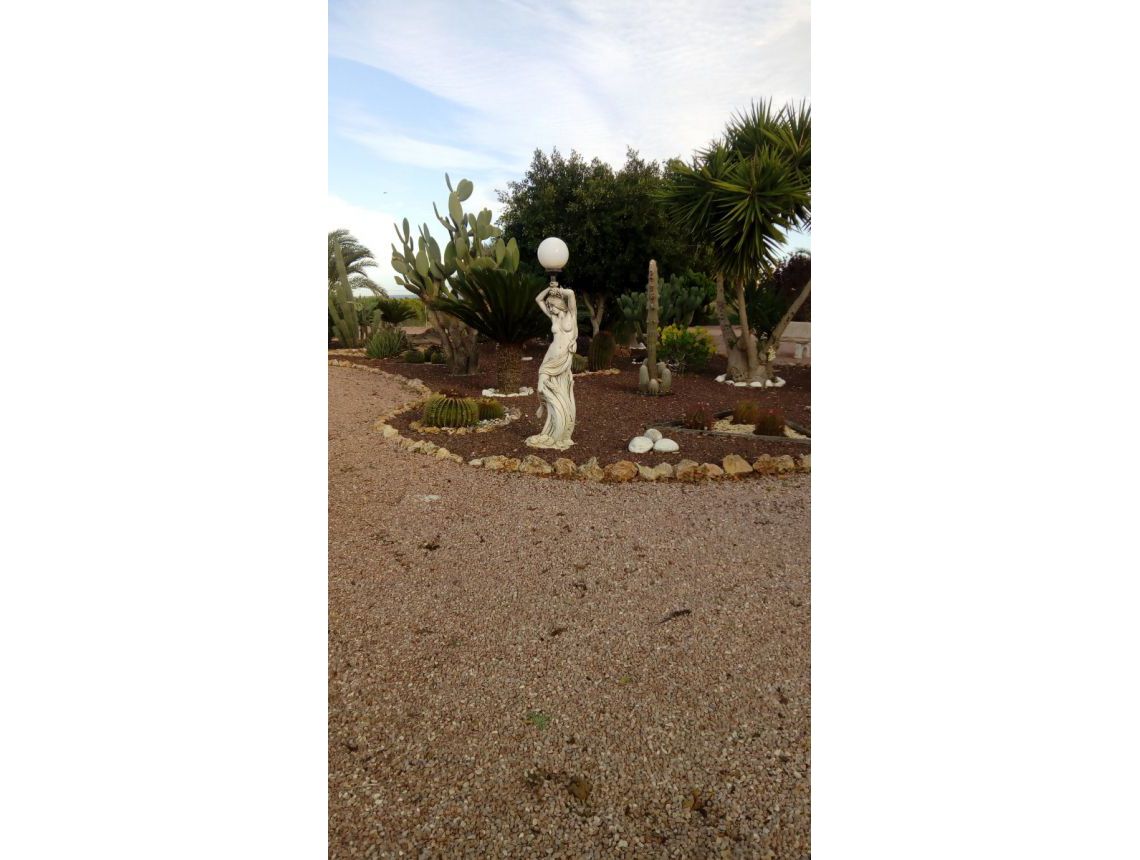 Sprzedaż - Dom - La Marina - La Marina Urb