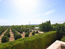 Sprzedaż - Dom - Orihuela - San Bartolomé