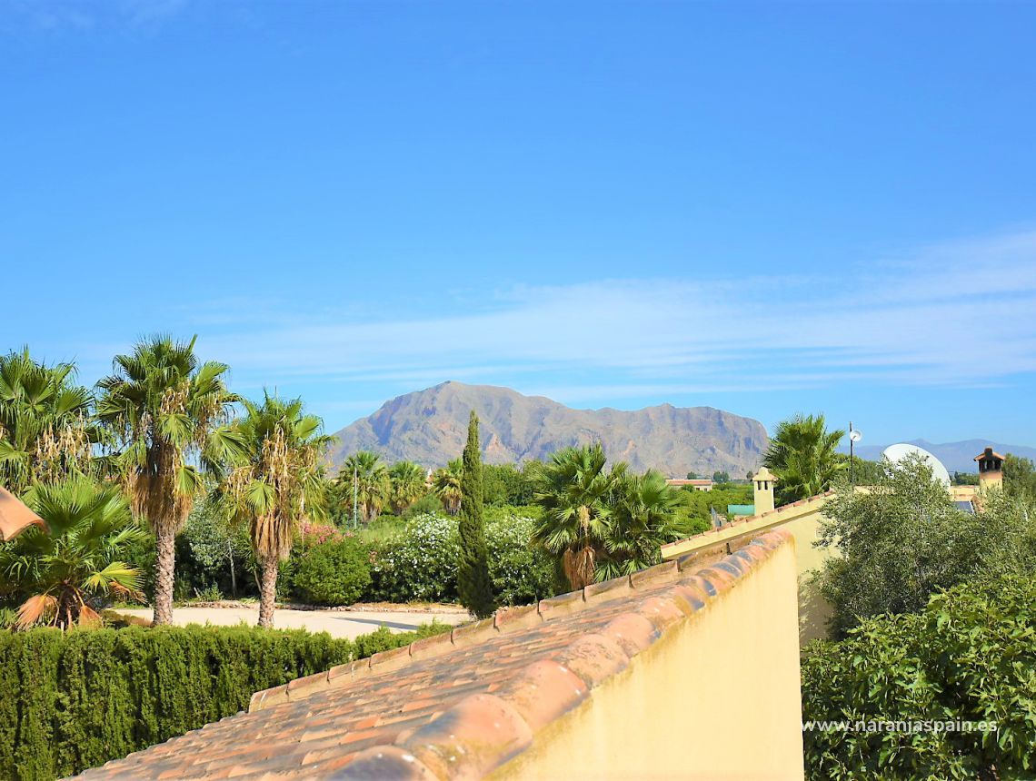 Sprzedaż - Dom - Orihuela - San Bartolomé