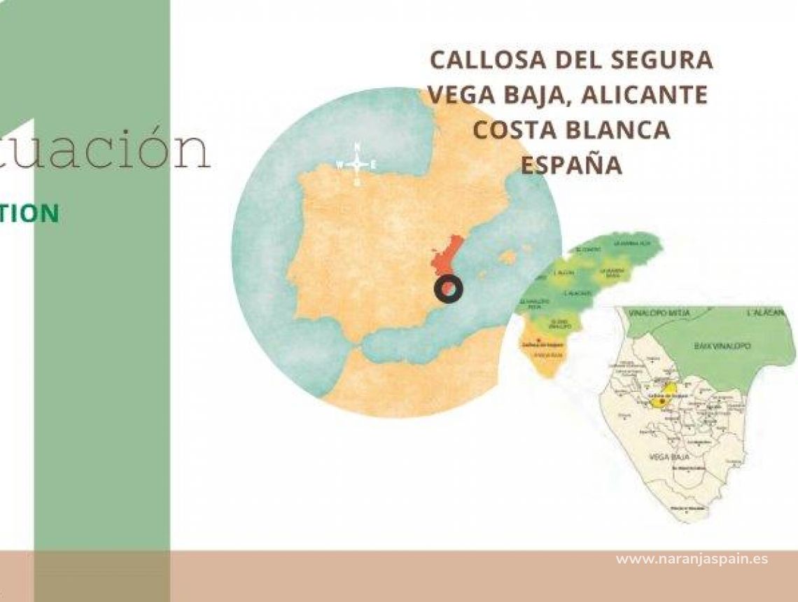 Sprzedaż - Działka - Callosa del Segura - Callosa De Segura