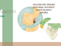 Sprzedaż - Działka - Callosa del Segura - Callosa De Segura