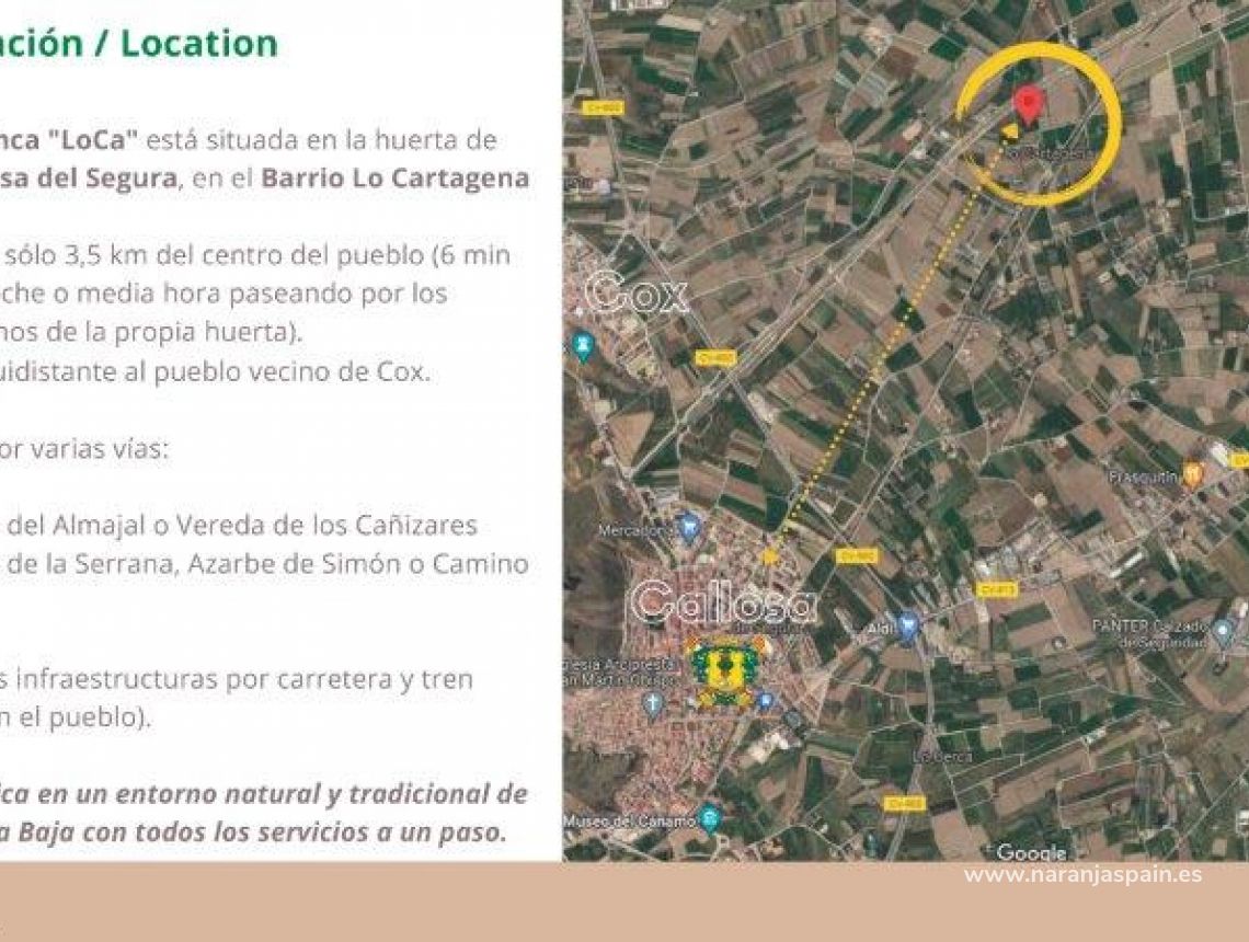 Sprzedaż - Działka - Callosa del Segura - Callosa De Segura