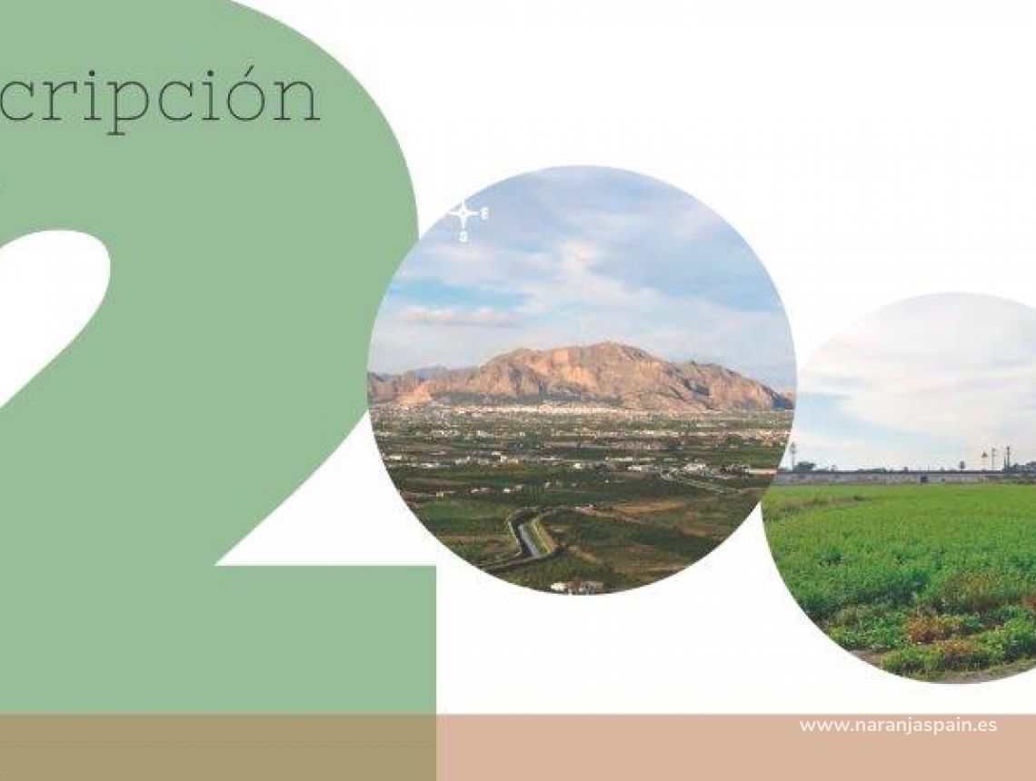 Sprzedaż - Działka - Callosa del Segura - Callosa De Segura