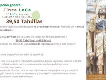 Sprzedaż - Działka - Callosa del Segura - Callosa De Segura