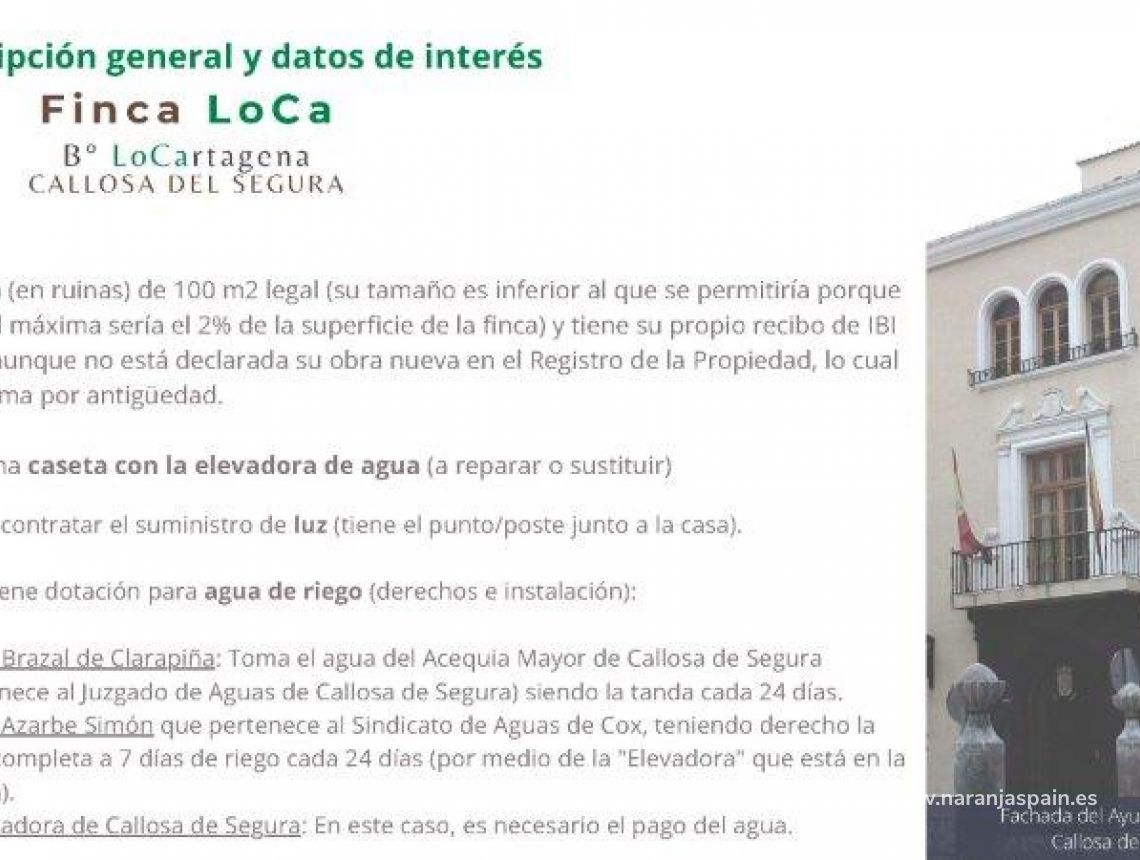 Sprzedaż - Działka - Callosa del Segura - Callosa De Segura