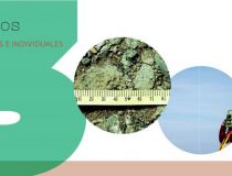 Sprzedaż - Działka - Callosa del Segura - Callosa De Segura