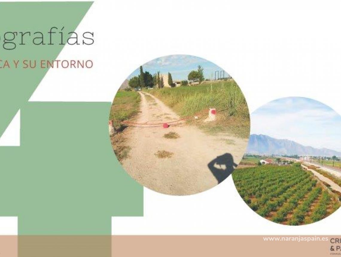 Sprzedaż - Działka - Callosa del Segura - Callosa De Segura