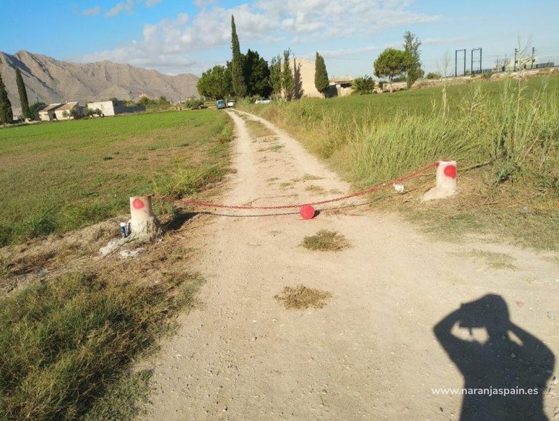 Sprzedaż - Działka - Callosa del Segura - Callosa De Segura