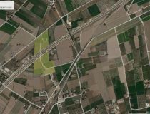 Sprzedaż - Działka - Callosa del Segura - Callosa De Segura