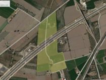 Sprzedaż - Działka - Callosa del Segura - Callosa De Segura