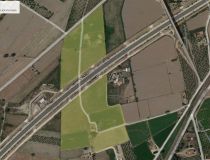 Sprzedaż - Działka - Callosa del Segura - Callosa De Segura