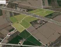 Sprzedaż - Działka - Callosa del Segura - Callosa De Segura