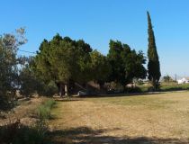 Sprzedaż - Działka - Callosa del Segura - Callosa De Segura