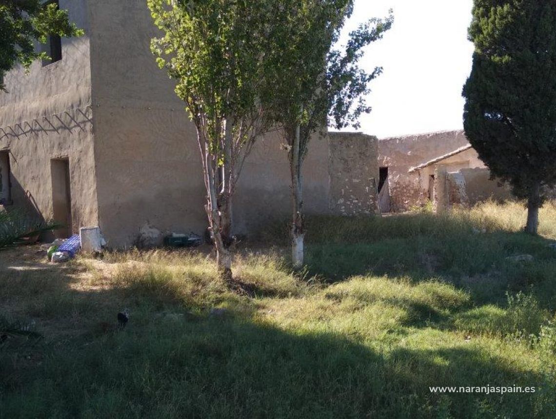 Sprzedaż - Działka - Callosa del Segura - Callosa De Segura