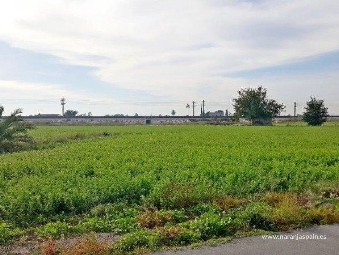 Sprzedaż - Działka - Callosa del Segura - Callosa De Segura