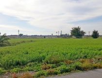 Sprzedaż - Działka - Callosa del Segura - Callosa De Segura