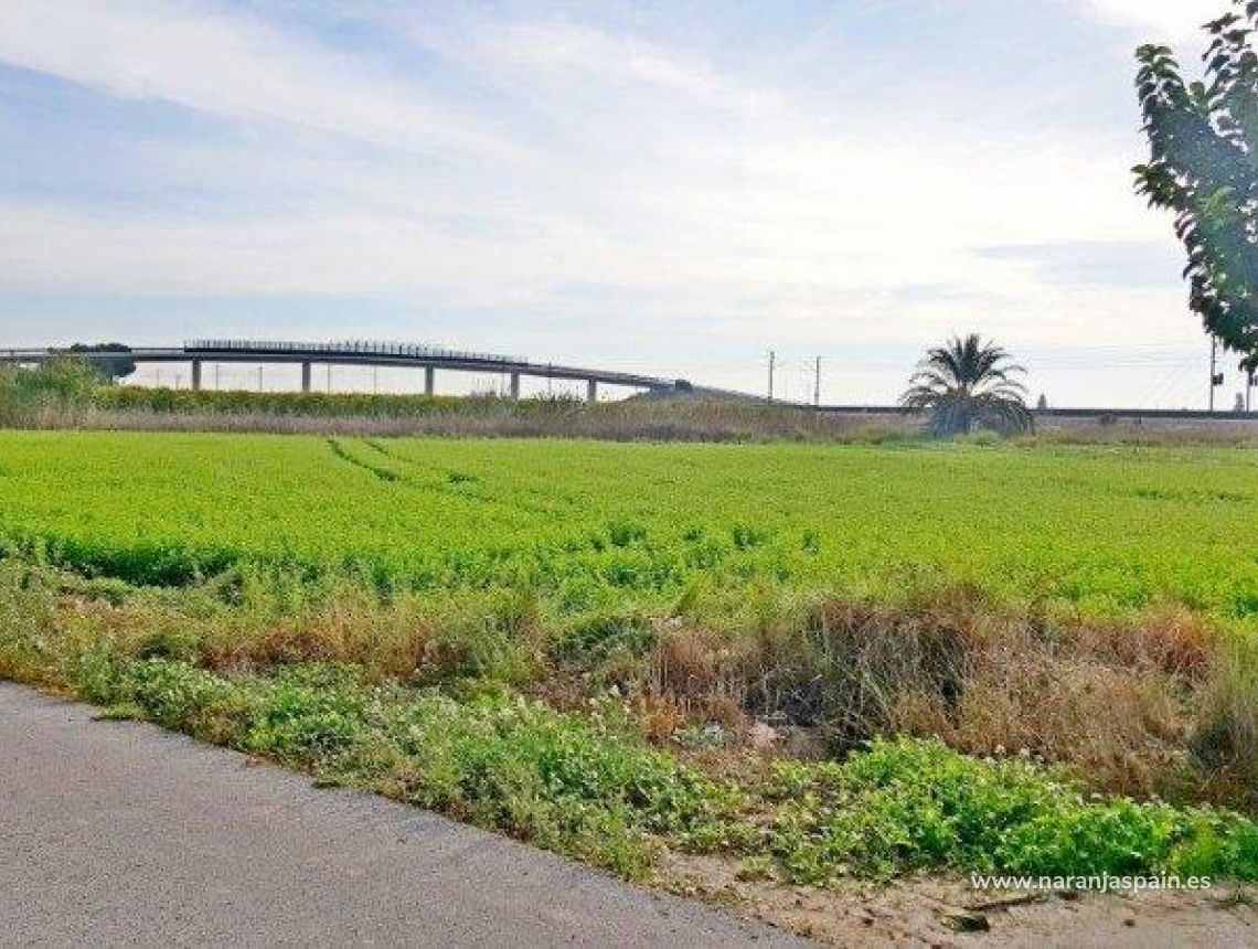 Sprzedaż - Działka - Callosa del Segura - Callosa De Segura