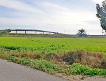 Sprzedaż - Działka - Callosa del Segura - Callosa De Segura