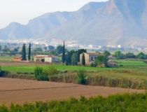 Sprzedaż - Działka - Callosa del Segura - Callosa De Segura