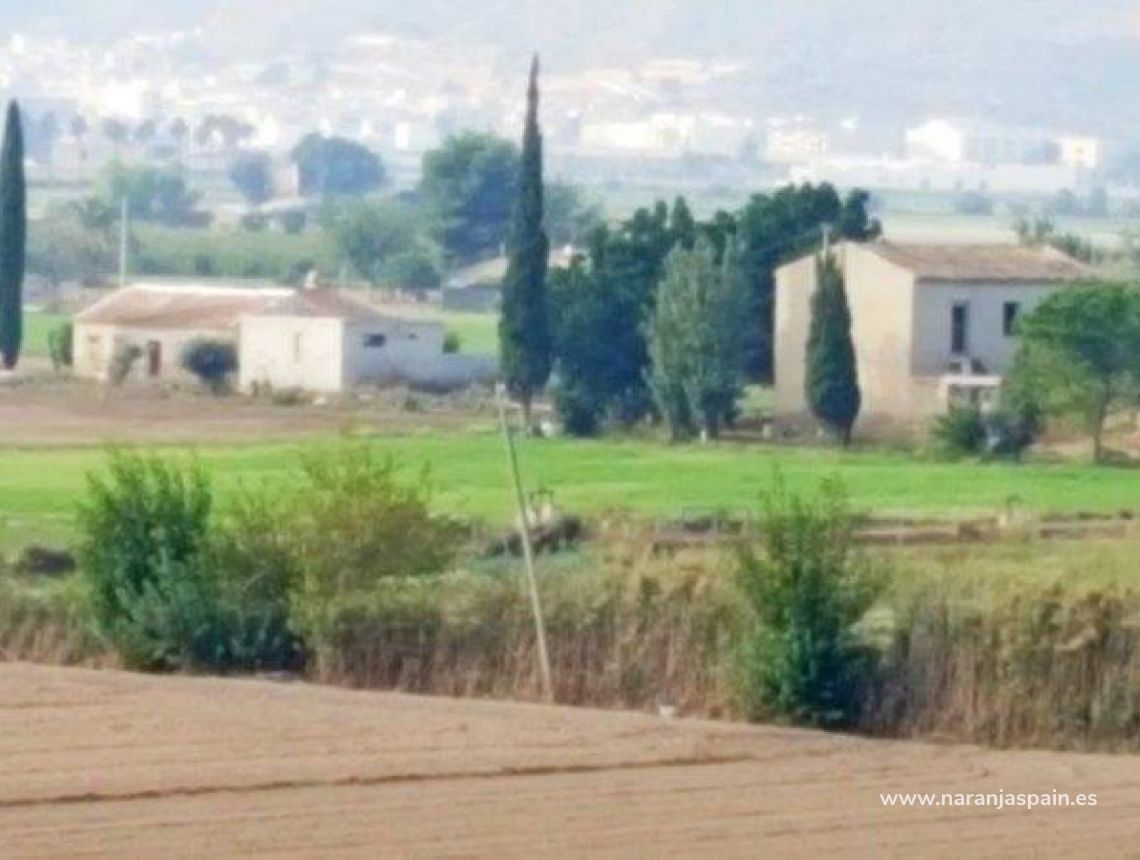 Sprzedaż - Działka - Callosa del Segura - Callosa De Segura