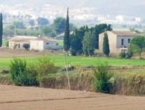 Sprzedaż - Działka - Callosa del Segura - Callosa De Segura