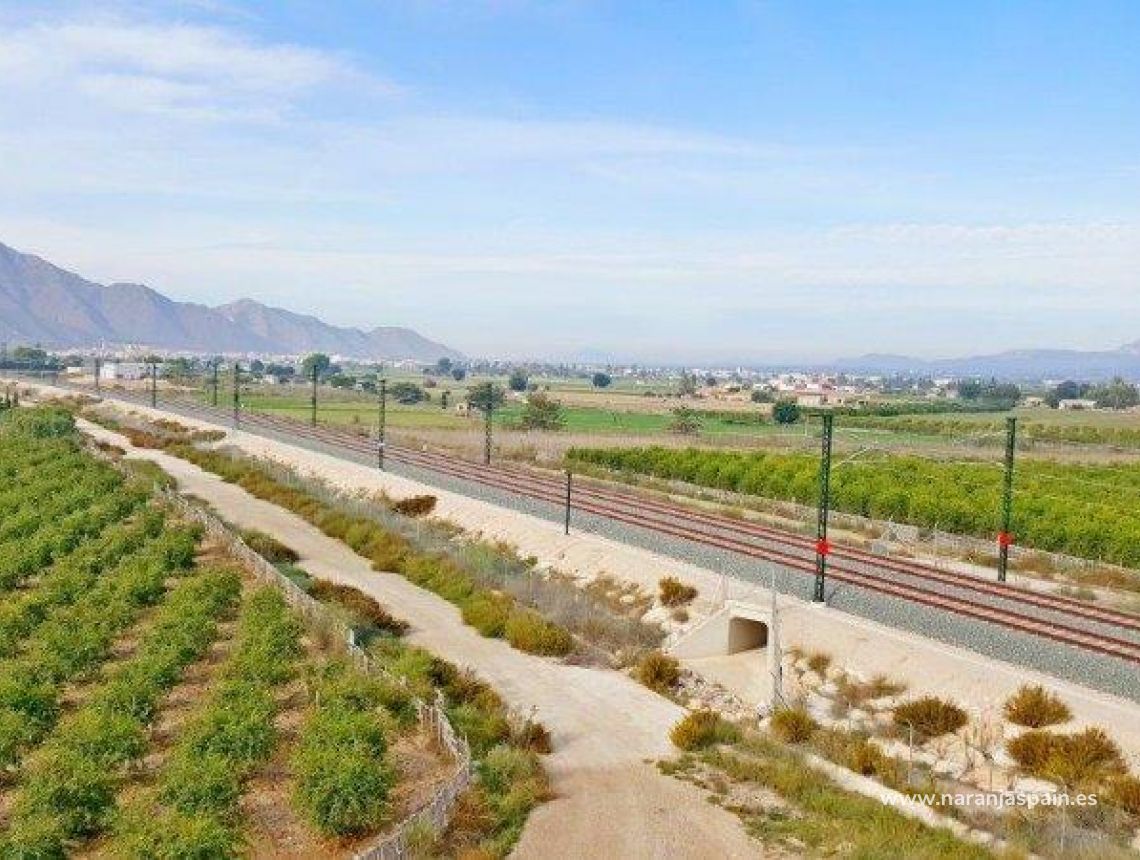 Sprzedaż - Działka - Callosa del Segura - Callosa De Segura