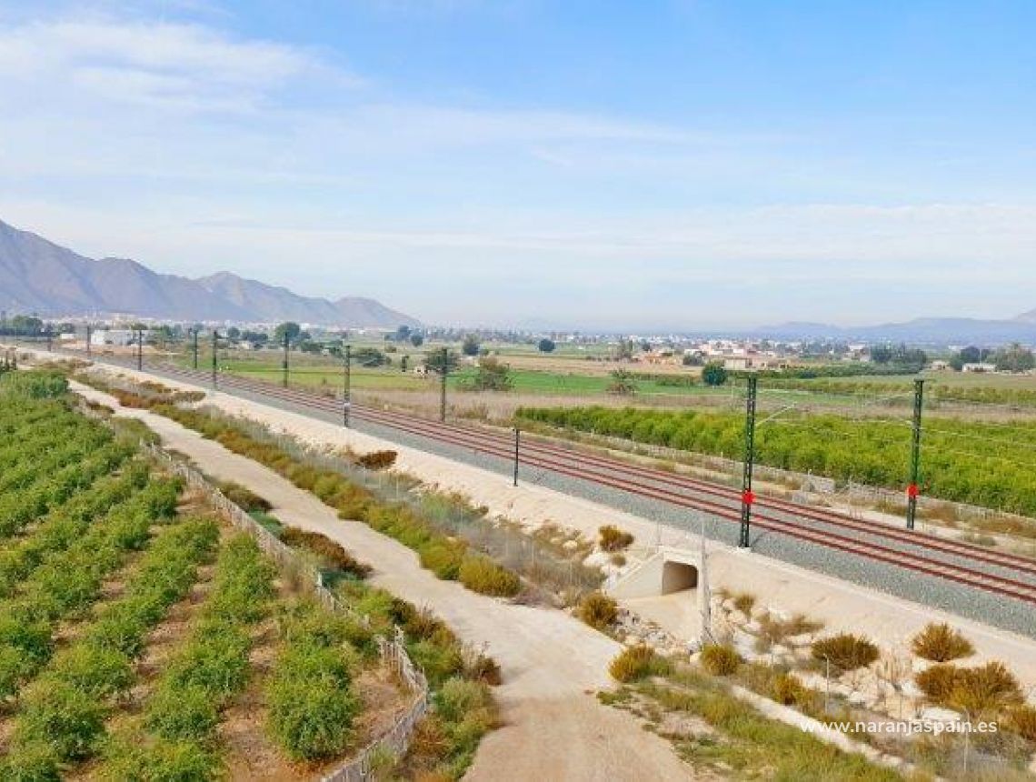 Sprzedaż - Działka - Callosa del Segura - Callosa De Segura