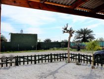 Sprzedaż - Działka - Callosa del Segura - Countryside