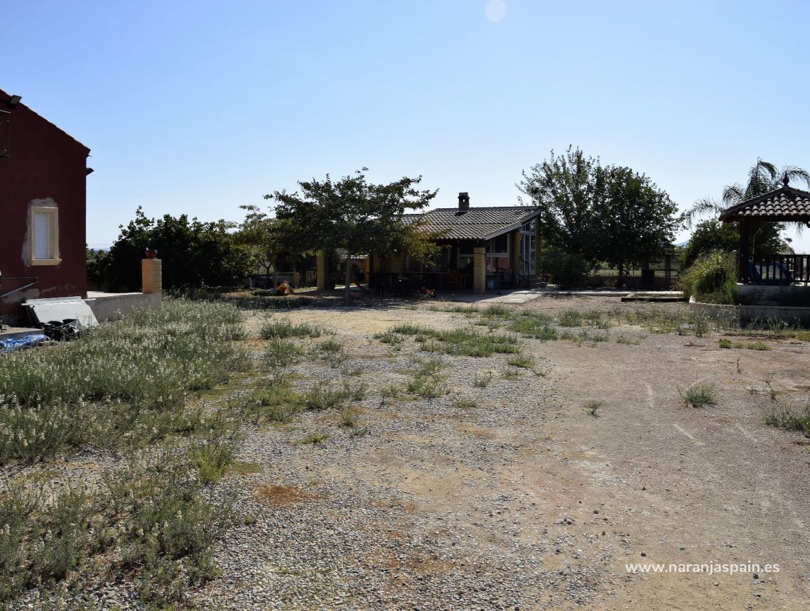 Sprzedaż - Działka - Catral