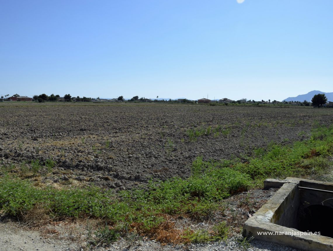 Sprzedaż - Działka - Catral