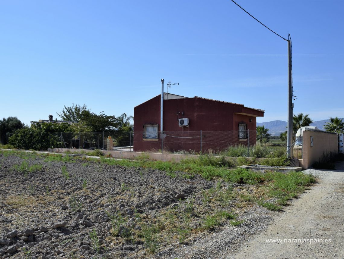 Sprzedaż - Działka - Catral