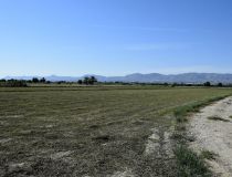 Sprzedaż - Działka - Catral