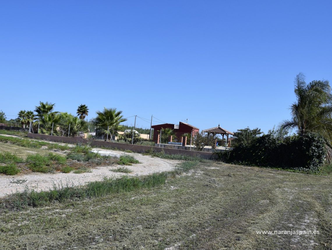 Sprzedaż - Działka - Catral