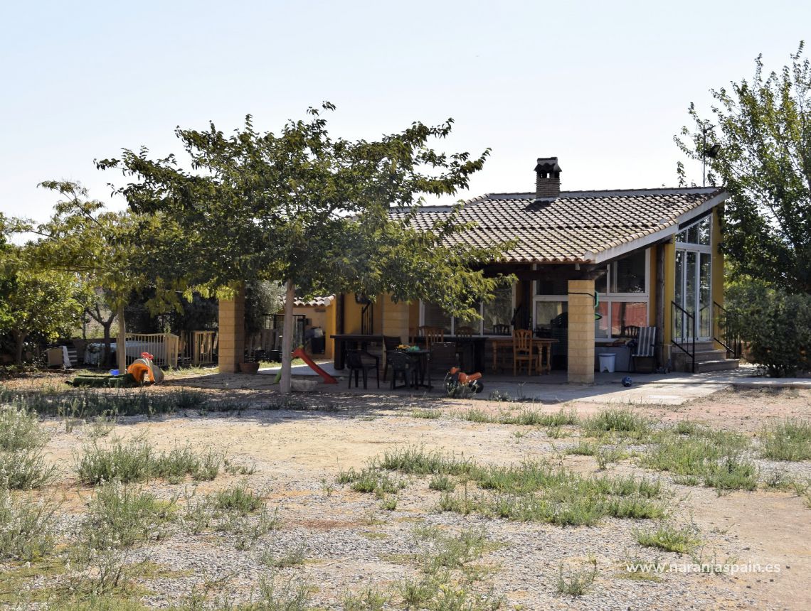 Sprzedaż - Działka - Catral