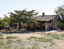 Sprzedaż - Działka - Catral