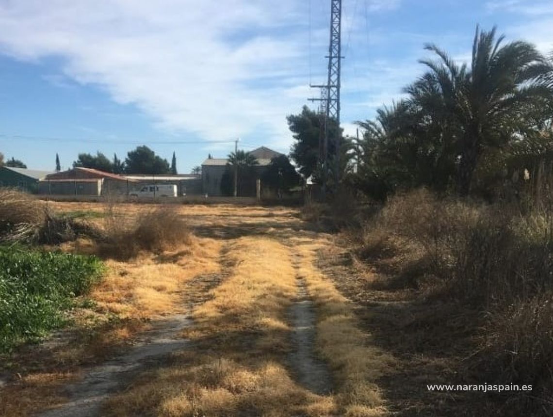Sprzedaż - Działka - Crevillente - Alicante