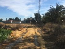 Sprzedaż - Działka - Crevillente - Alicante