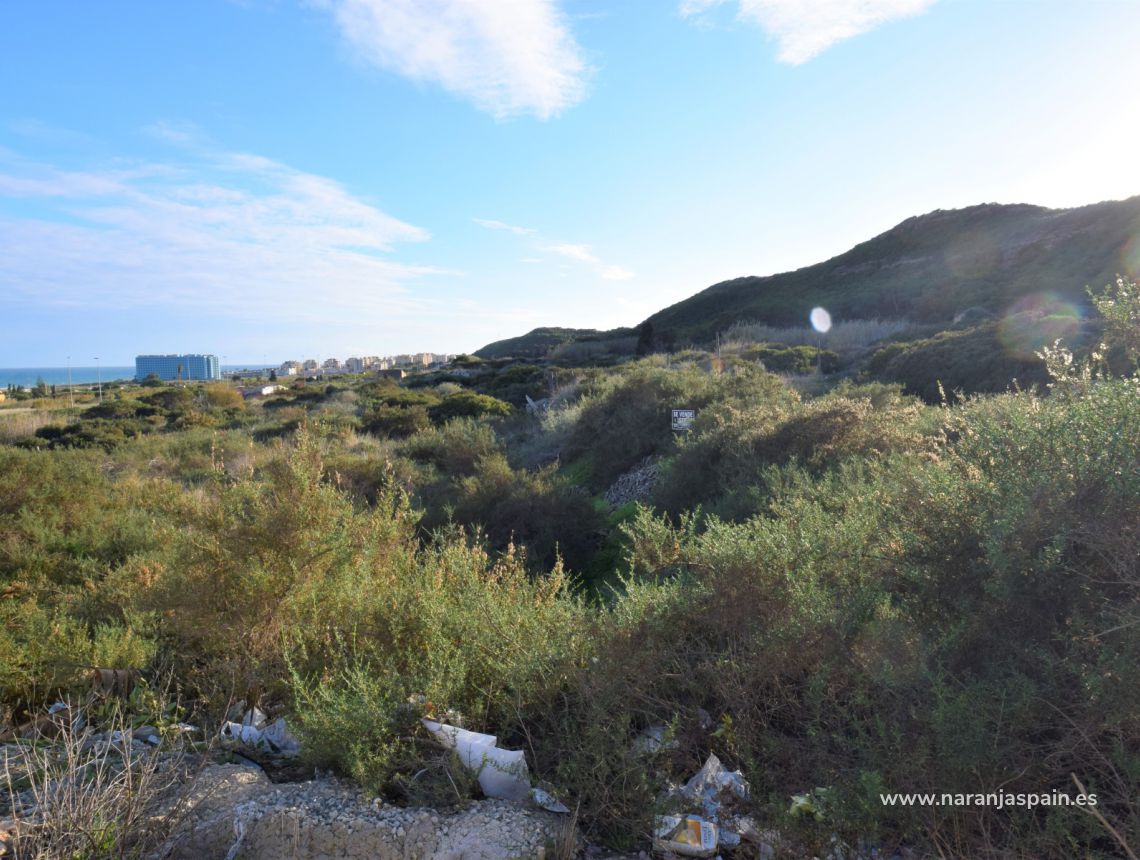 Sprzedaż - Działka - Guardamar del Segura - Los Secanos